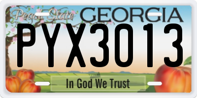 GA license plate PYX3013
