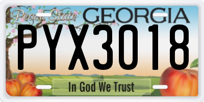 GA license plate PYX3018
