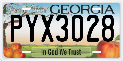 GA license plate PYX3028