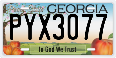 GA license plate PYX3077
