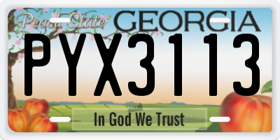 GA license plate PYX3113