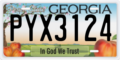 GA license plate PYX3124