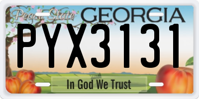 GA license plate PYX3131
