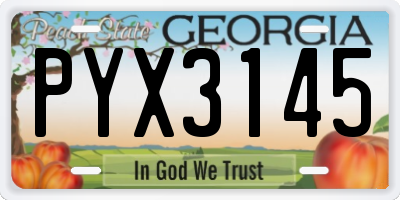 GA license plate PYX3145