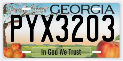 GA license plate PYX3203