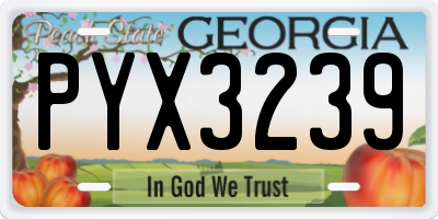 GA license plate PYX3239