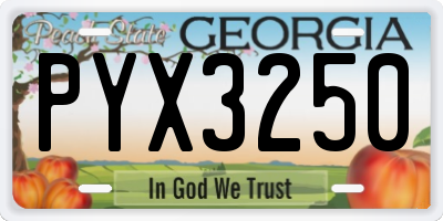 GA license plate PYX3250