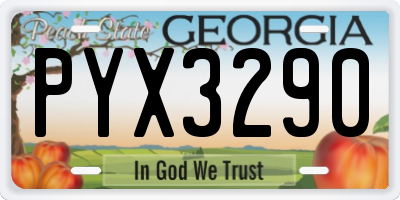 GA license plate PYX3290