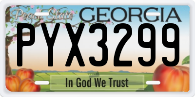 GA license plate PYX3299