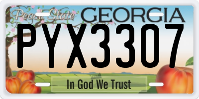 GA license plate PYX3307