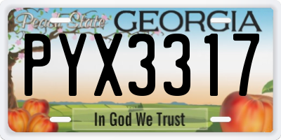 GA license plate PYX3317