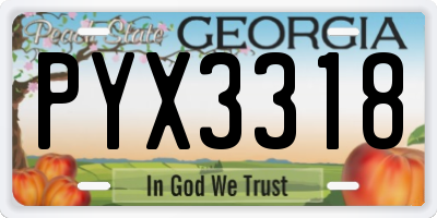 GA license plate PYX3318