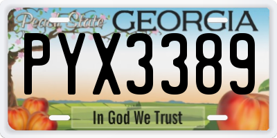 GA license plate PYX3389