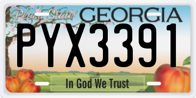 GA license plate PYX3391
