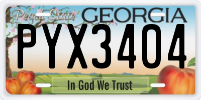 GA license plate PYX3404