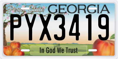 GA license plate PYX3419