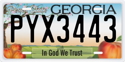 GA license plate PYX3443