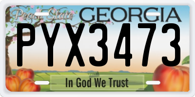 GA license plate PYX3473