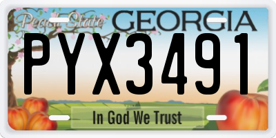 GA license plate PYX3491