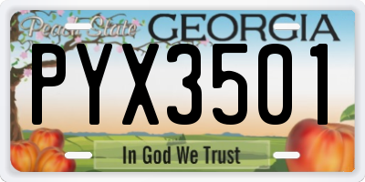 GA license plate PYX3501