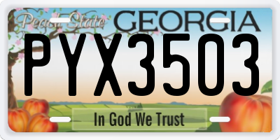 GA license plate PYX3503