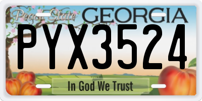 GA license plate PYX3524