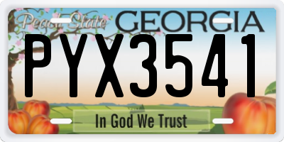 GA license plate PYX3541