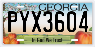 GA license plate PYX3604