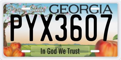 GA license plate PYX3607