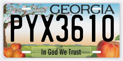 GA license plate PYX3610