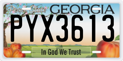 GA license plate PYX3613