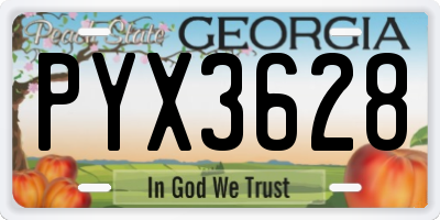 GA license plate PYX3628