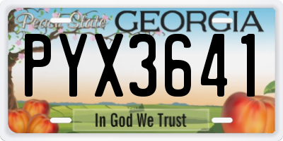 GA license plate PYX3641