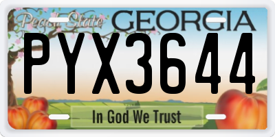 GA license plate PYX3644