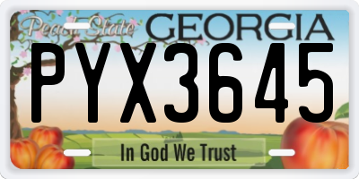 GA license plate PYX3645