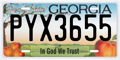 GA license plate PYX3655