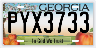 GA license plate PYX3733