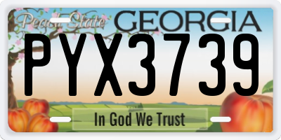 GA license plate PYX3739