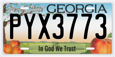 GA license plate PYX3773