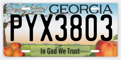 GA license plate PYX3803