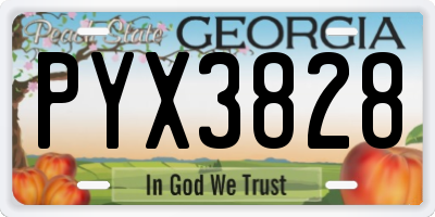 GA license plate PYX3828