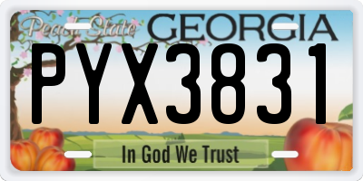 GA license plate PYX3831
