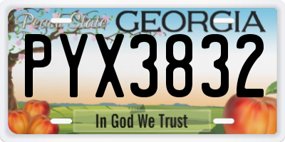 GA license plate PYX3832