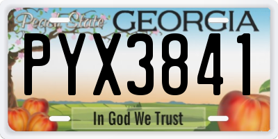 GA license plate PYX3841