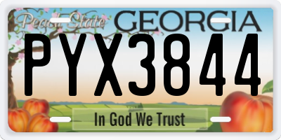 GA license plate PYX3844