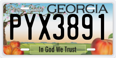 GA license plate PYX3891