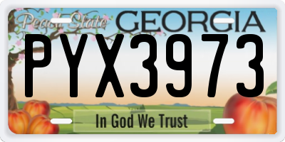 GA license plate PYX3973
