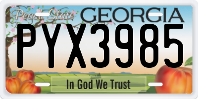 GA license plate PYX3985