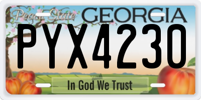 GA license plate PYX4230