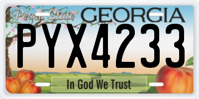 GA license plate PYX4233